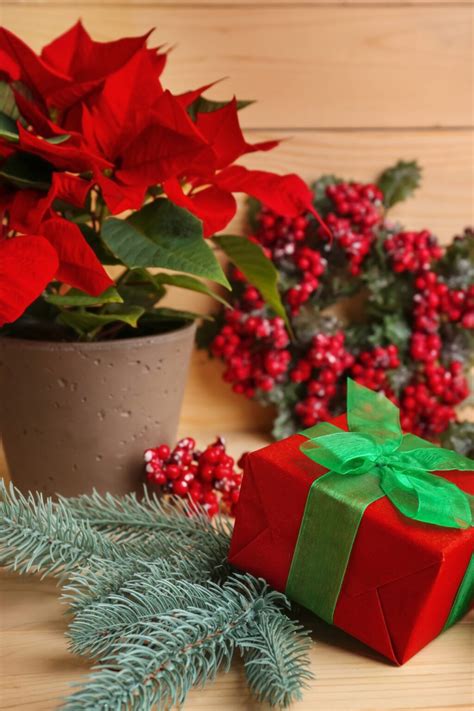 All the red shades of an Italian Christmas