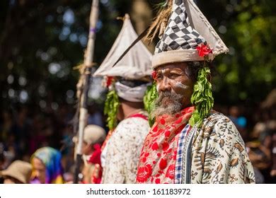 Vector Poleng 的图像结果