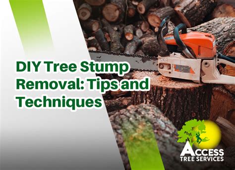 Tree Stump Removal Tricks 的图像结果