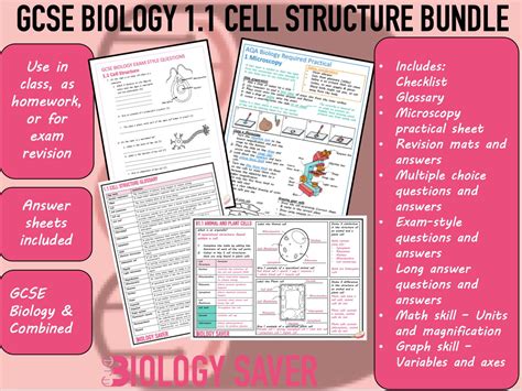 Cell Structure GCSE 的图像结果