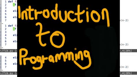 Programming Introduction 的图像结果