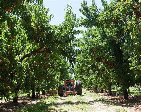 Metropolitan Market Kirkland