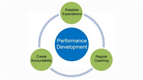 Project Performance Development 的图像结果