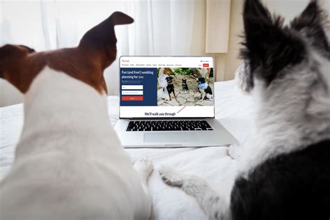 The Ultimate Guide to Planning a Dog Wedding