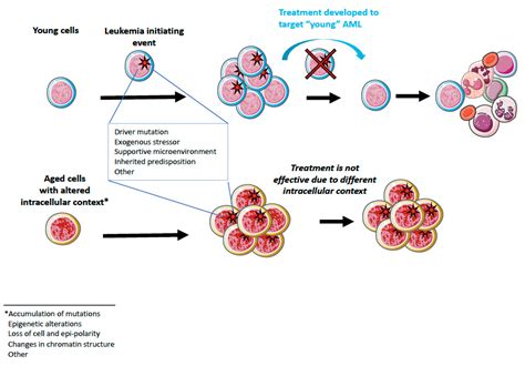 Acute Myeloid Leukemia: Aging and Epigenetics