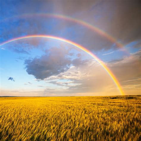 What Is A Meaning Of Rainbow at Sheila Sparks blog