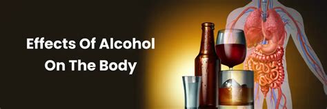Effets de l'alcool sur le corps : comprendre les impacts et les risques ...