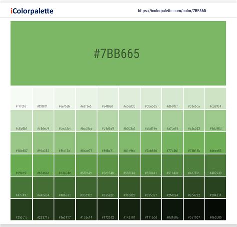 Pantone 15-6437 Tpx Grass Green Color | Hex color Code #7BB665 ...
