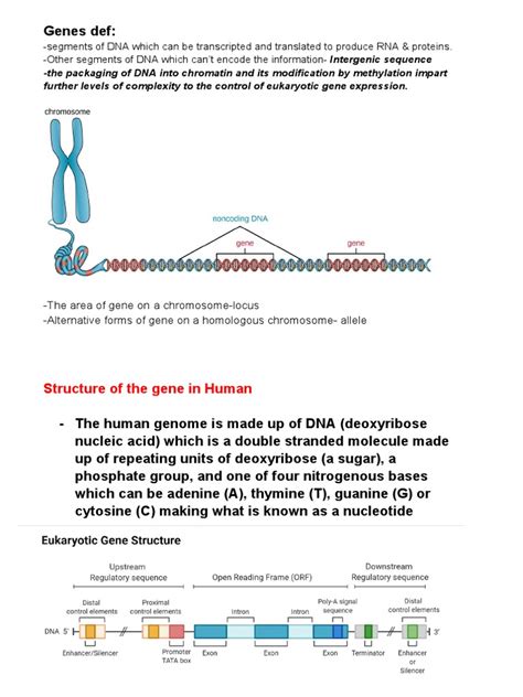 Genes 的图像结果