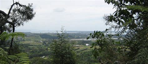 Te Puna Quarry Park | Bay of Plenty, New Zealand