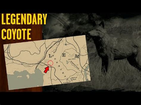 Legendary COYOTE Location! RDR2 - YouTube