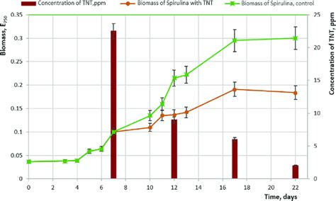 Image result for TNT Science Experiment