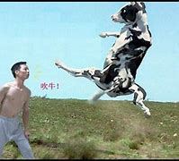 Image result for 吹牛