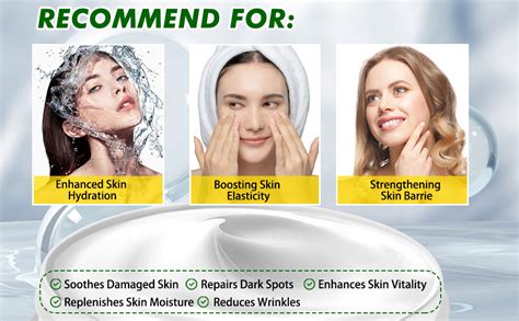 SNEIRA® Snail Mucin Moisturizer (100ml, 3.5 fl oz) Snail Face Cream ...