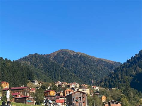 VIRA TURIZM (2024) All You Need to Know BEFORE You Go (with Photos ...