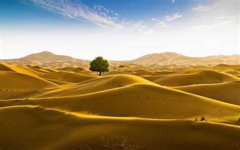 1920x1201 Resolution Rub' al Khali desert on the border of Oman and the Emirate of Dubai ...