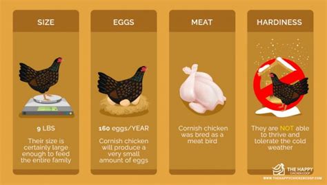 Image result for Chicken Fried Tutorial