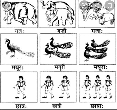 अकारांत पुल्लिंग शब्द चित्र के साथ - Brainly.in