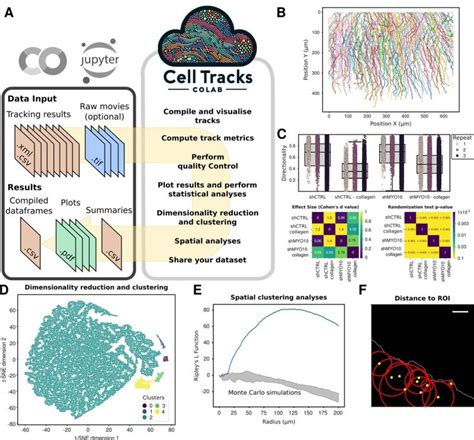 Image result for Cell Surface Protein Staining Tracking