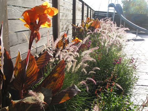 Portfolio - Melissa Bees