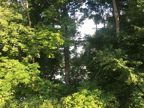 Bailey's Point Campground in Barren River Lake, Kentucky: Reviews and ...