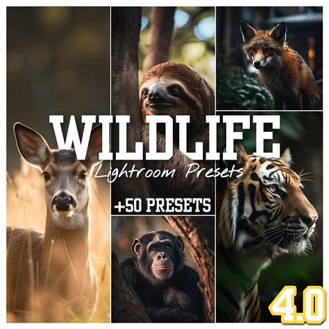 Wildlife Lightroom Presets - Etsy