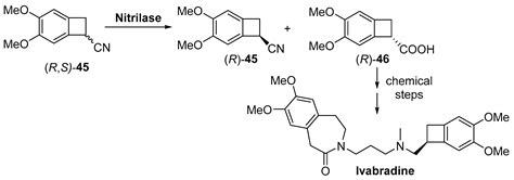 Biocatalysis as Useful Tool in Asymmetric Synthesis: An Assessment of ...