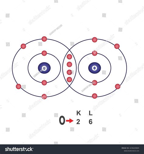 O2 Covalent Bond 的图像结果