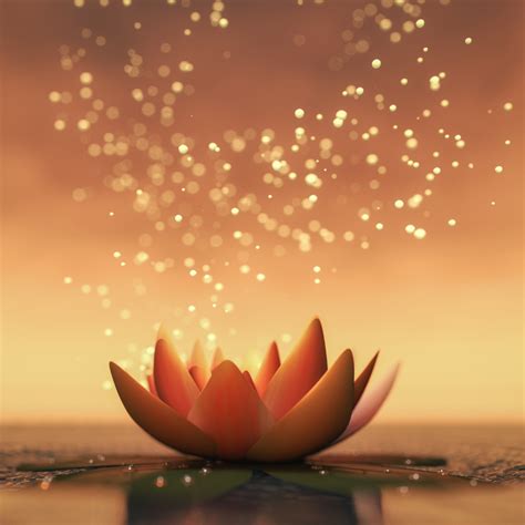 Conscience 的图像结果