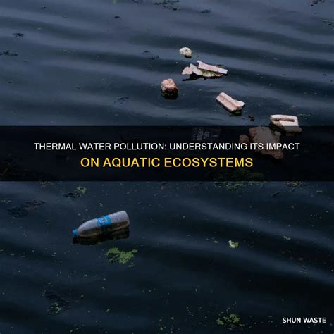 Thermal Water Pollution: Understanding Its Impact On Aquatic Ecosystems ...