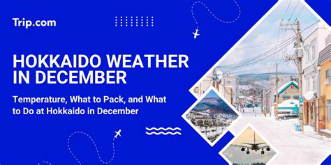 Hokkaido Weather In December: Temperature, Rainfall & What to Pack | Trip.com
