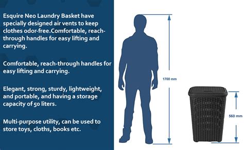 Esquire Plastic Neo Laundry Basket Black, 50 Liter Capacity, 44 ...