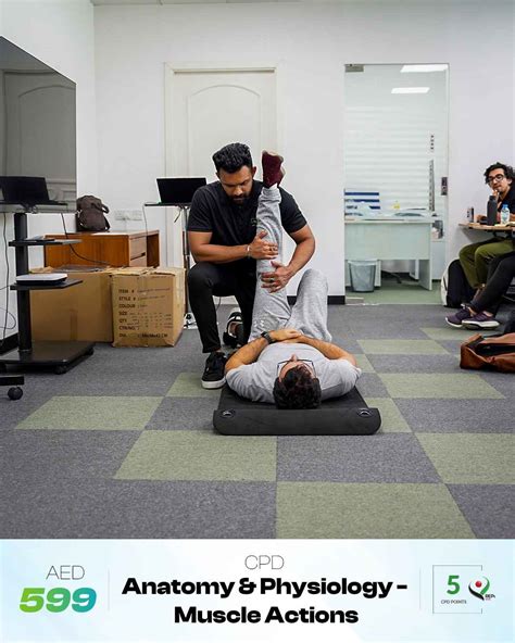 Anatomy & Physiology - Muscle Actions: 5 CPD Points – MyPT Academy