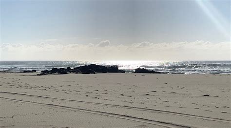 DIAMOND HEAD CAMPGROUND - Campground Reviews & Photos - Tripadvisor
