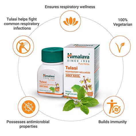 Himalaya Wellness Pure Herbs Tulasi Respiratory Wellness, 60 Tablets ...