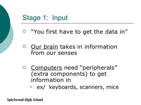 Information Processing Cycle Examples 的图像结果