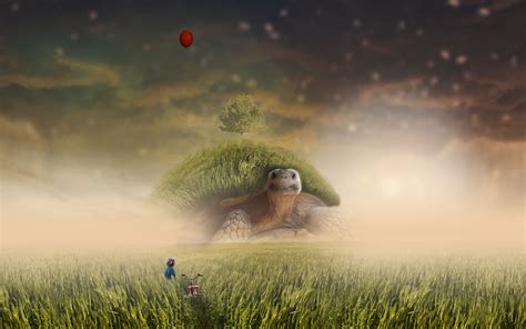 Download wallpaper 3840x2400 turtle, photoshop, child, bicycle, field ...