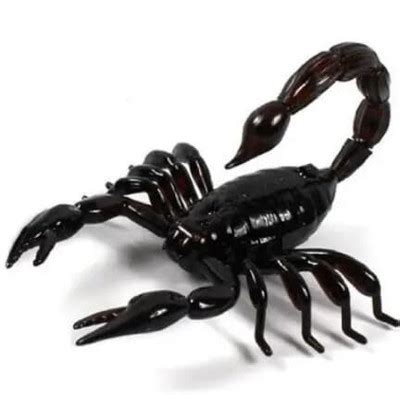 ADRAXX Arduino UNO R3 board with DIP ATmega328P Price in India - Buy ...