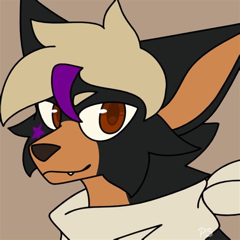 Animation Memes Polar Summit 的图像结果