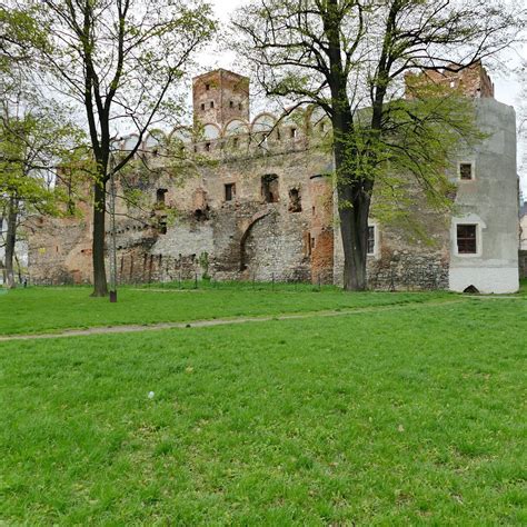 RUINS OF DUCAL CASTLE IN ZABKOWICE SLASKIE (2025) All You Need to Know ...
