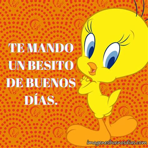Piolin buenos dias frases » Imágenes Buenos Días