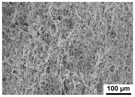 Microstructure and Mechanical Properties of Friction Stir Welded AA6061 ...
