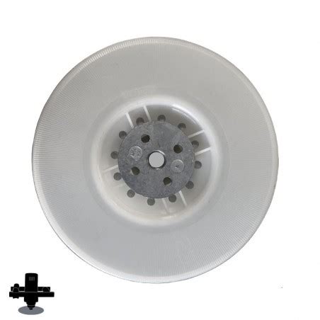 Image result for Semi Backing