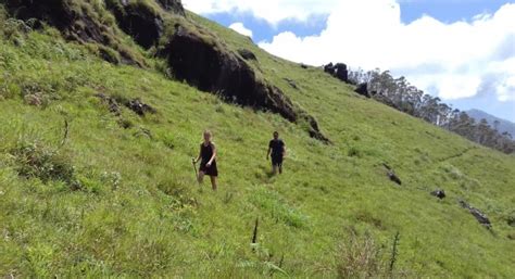 Mountain Hiking Through Tea Plantation Half Day