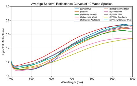 Research on Intelligent Wood Species Identification Method Based on ...
