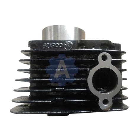 USHA Piston Cylinder Kit for Bajaj CT 100 | Platina | Boxer CT | Engin