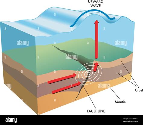 Earthquake Tsunami Diagram