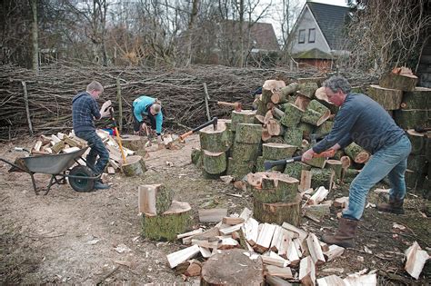 Image result for pictures of a family cutting small firewood
