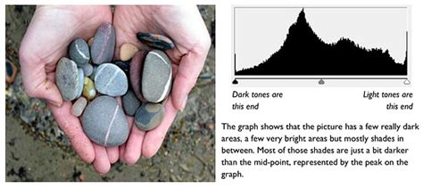 Digital Camera LCD Screen 的图像结果