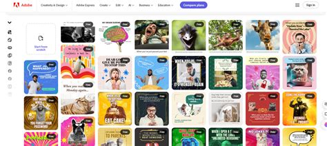 The Ultimate Guide to Choosing the Best Meme Templates